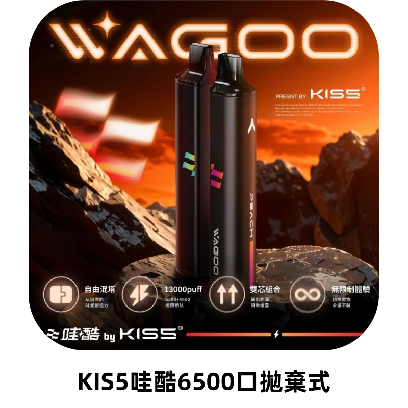 KIS5WAGOO哇酷6500口拋棄式 | 自由混搭雙口味 | 雙芯組合